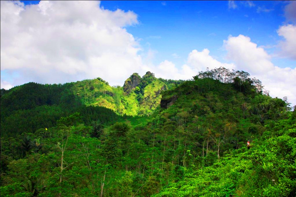 Kebun Teh Nglinggo