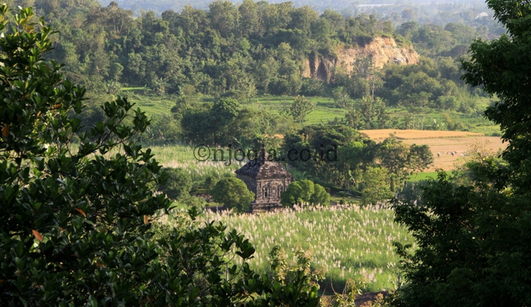 Wisata Candi Banyunibo