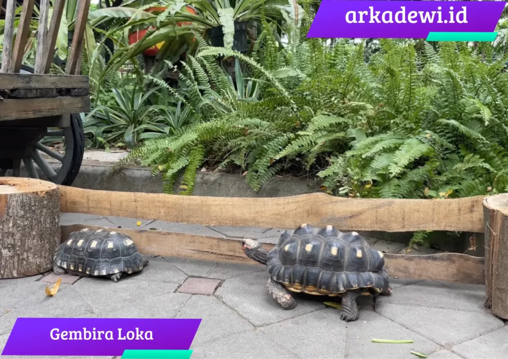 gembira loka
