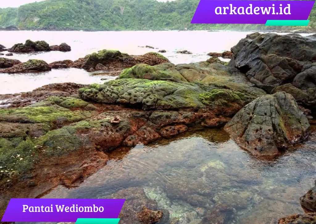wisata pantai wediombo