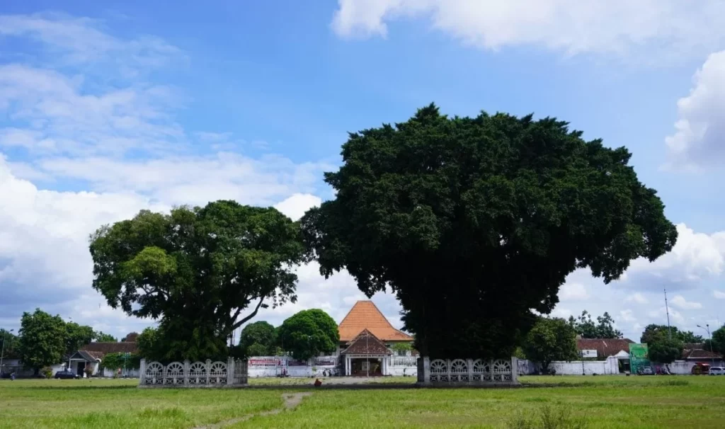 Perbedaan Alun Alun Utara dan Selatan Jogja