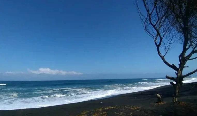 Pantai Pandansari