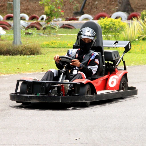 gokart kids fun